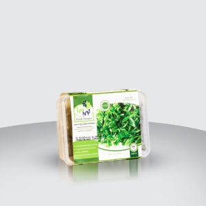 Frozen Fried Mint & Parsley